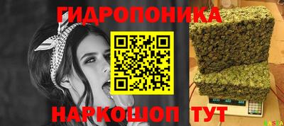 бошки Кимры
