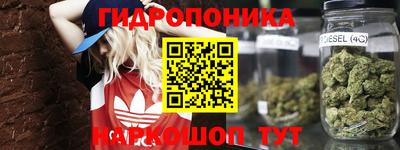 бошки Кимры