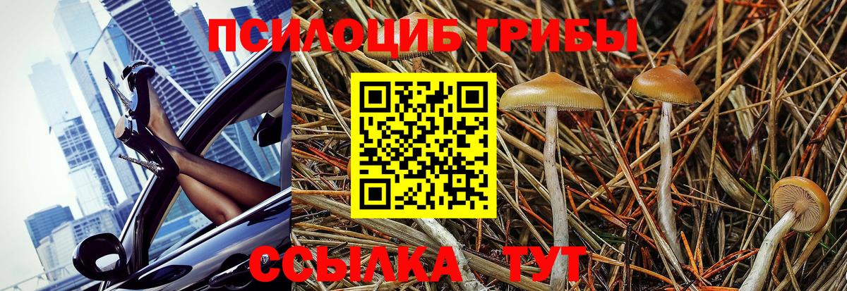 Псилоцибиновые грибы Psilocybe  Вход с VPN  цена наркотик  Чапаевск 