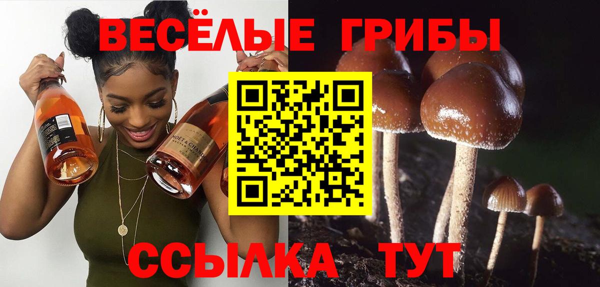 Галлюциногенные грибы MAGIC MUSHROOMS Чапаевск